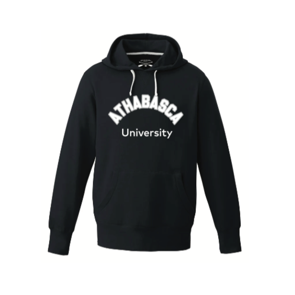 Collegiate Logo Ladies Pullover Hoodie